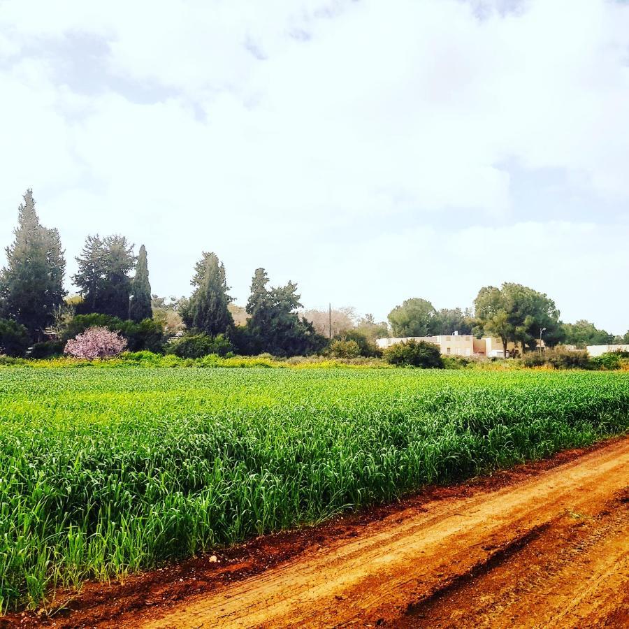 Kibbutz Nachshon Bed & Breakfast Exterior photo