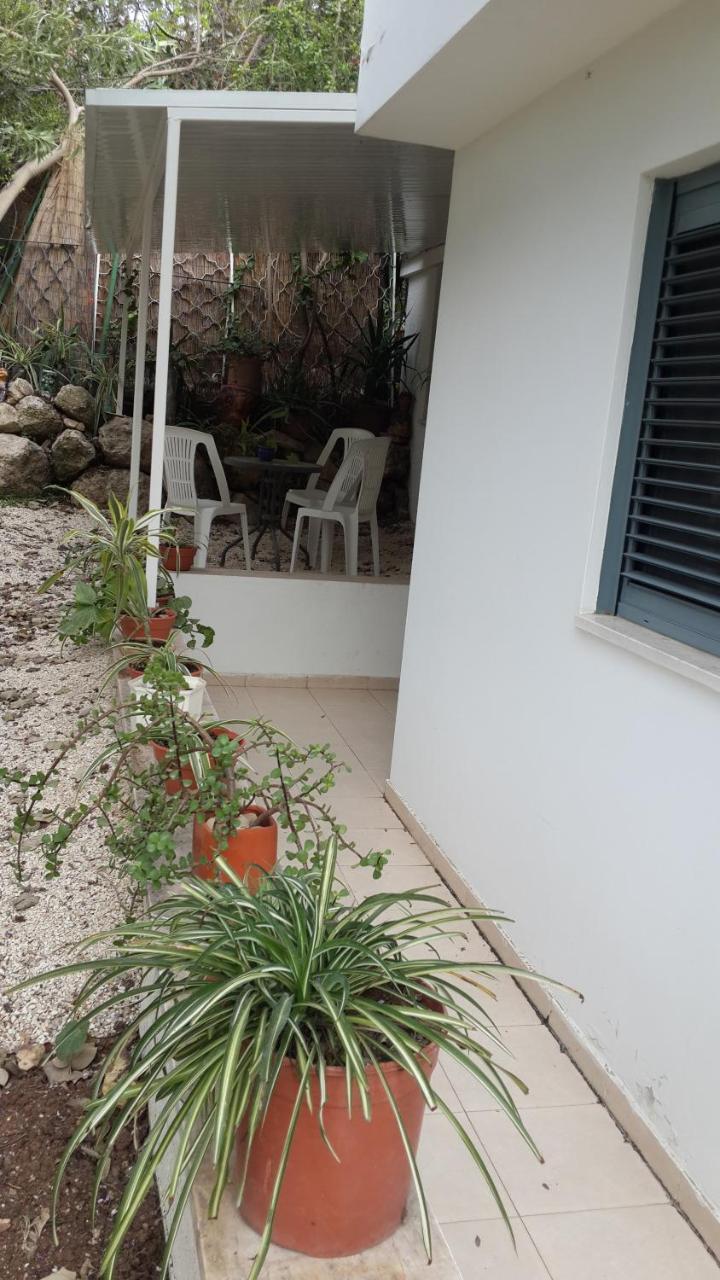 Kibbutz Nachshon Bed & Breakfast Exterior photo